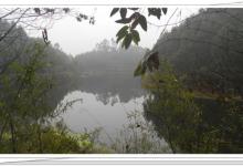 野钓技术活 野百合也会有春天[峨眉钓翁]