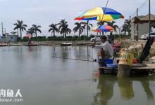 影响赌塘渔获的相关因素及对策方法探讨