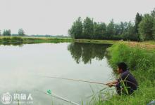 低密度鱼塘钓鱼的四个实用技巧