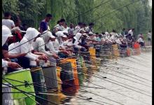 黑坑钓鱼，飞抄技巧助你成功上鱼