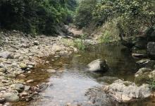 大山里的精灵溪石斑，溪流钓这种鱼的技巧