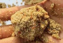 湖库钓大鱼应这样做窝