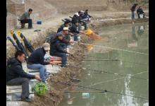 秋季怎么在养殖塘钓鱼