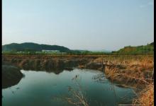 陌生水域，通过这些方法，判断有鱼否