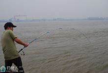 钓友齐分享：长江里各类鱼种的特有钓法