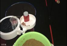 冬钓大棚鲤鱼的钓具搭配、饵料搭配、鱼情分析