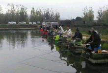 钓黑坑须知：鱼情、饵料、钓法、钓点