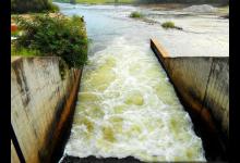 东北家喻户晓的野生小鱼