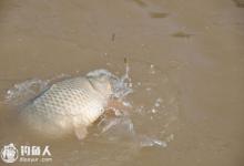 钓友分享竿坑垂钓的五个心得攻略