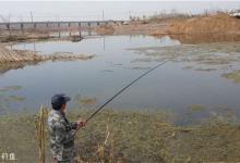 冬季野河拖钓鲫鱼的技巧