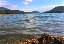 水库钓鱼技巧实战篇