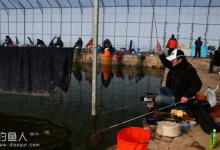 浅谈大棚黑坑冬钓技巧