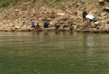 江河垂钓遇流水的应对技巧