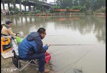 黑坑偷驴上岸的四个实战技巧