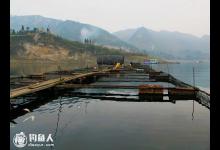 冬季网箱垂钓的选时选位与钓法的运用