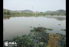 流水河域的垂钓应对攻略