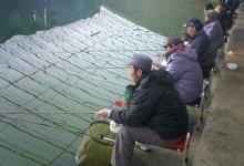 黑坑钓场老板到底隐瞒了什么秘密？钓友：难怪上鱼这么难