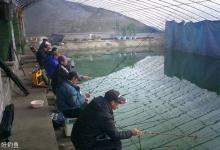 高手经验之冬钓大棚黑坑的技巧