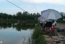 回好钓鱼APP钓友黑坑怎么钓鱼的看法