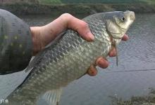 早春野河钓鱼技巧，六个方面来介绍