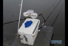 鱼塘顶风作案喜获鲫鱼多多