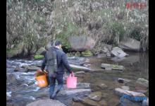 清水溪探钓 喜得大板鲫[美图鉴赏]