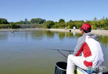高手分享盛夏黑坑钓鱼的必杀饵