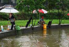 黑坑钓鱼突然停口的原因和具体的解决思路