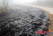 钓鱼野人初春探钓野河渔趣分享