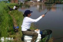 坑塘台钓钓鱼的五个原则和技巧