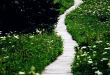 不放弃对江坝的热爱和执着钓鲫鱼