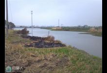 坑塘淤泥厚应如何钓鱼的技巧