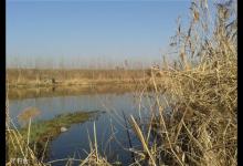 冬季江河钓鱼的技巧和注意事项