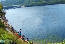 夏末初秋江河流域作钓技巧