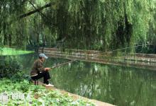 肥水塘的形成原因与肥水钓鱼技巧