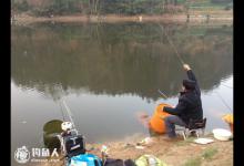 高手解答坑塘钓鱼的要点与难点