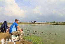 钓友分享黑坑钓鲤鱼的实用技巧