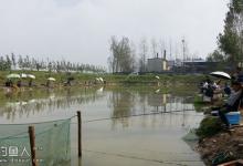 谈黑坑钓鱼的加减法（饵料、钓组搭配）