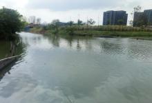 自然水域钓鱼，用好这些技巧，征服鱼儿不是事