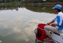 如何应对黑坑鱼获不佳的问题？