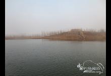 周王水库春钓攻略鱼获翘嘴鲫鱼