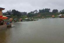 放鱼多的黑坑怎么才能钓到大鲫鱼？