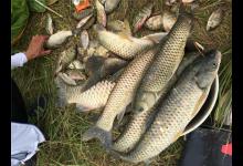 夏天水库野钓的这三个黄金位，爆护渔获