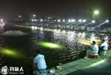 钓友分享黑坑鱼塘夜钓的注意事项