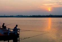 落水如何钓鱼，有超实用的技巧