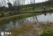 钓友分析肥水塘钓鱼的作战技巧