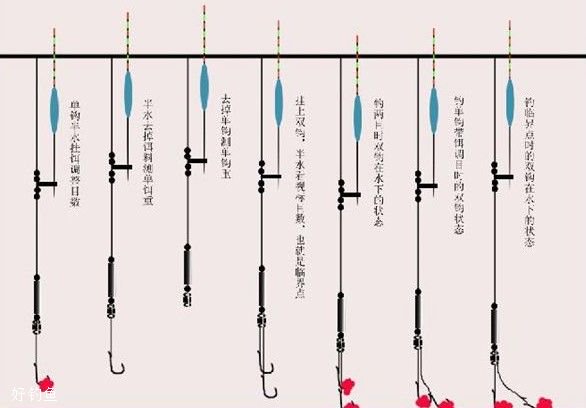 怎么看钓灵还是钓顿?20年老钓友两句话总结_钓鱼技巧_爱钓鱼