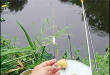 适合野钓的两种调漂方法，调漂简单快又准