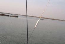 野钓怎么带饵调漂？