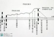 野外垂钓的调漂技巧